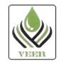Veer Dye Chem